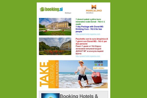 Booking theme site design template sample