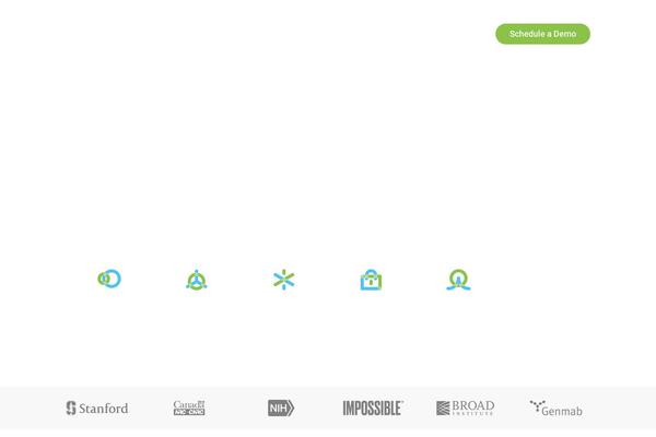 Divi theme site design template sample