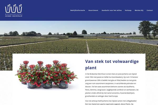 boomkwekerij-jochems-v-opstal.nl site used The-core-parent