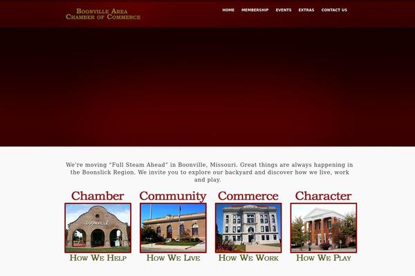 inFocus theme site design template sample
