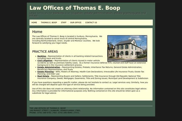 Asokay theme site design template sample