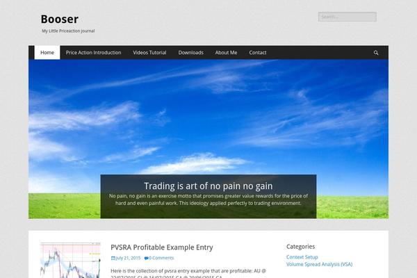 Catch Responsive theme site design template sample