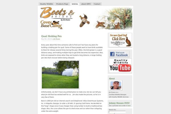 Misty Look theme site design template sample