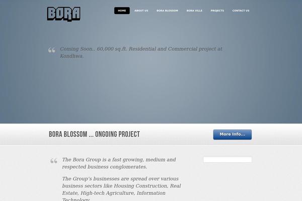 bora.co.in site used Lotus