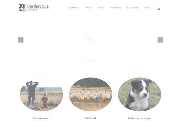Arlo theme site design template sample