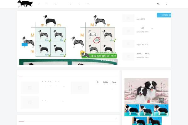 Tint theme site design template sample