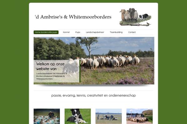 Site using Page-flip-image-gallery plugin