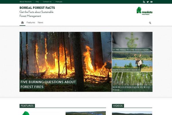 Newspaper Child theme site design template sample