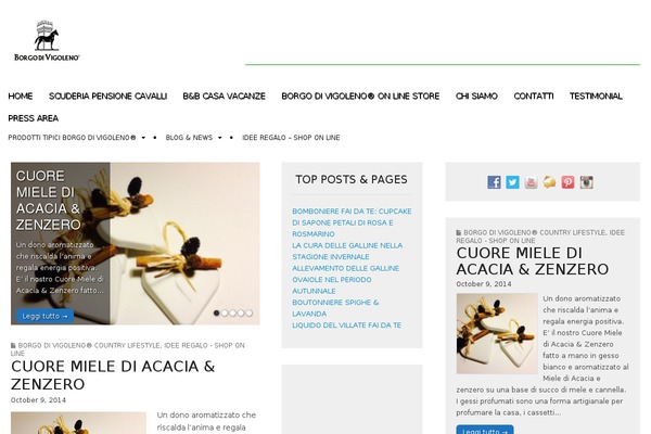 Magazine Premium theme site design template sample