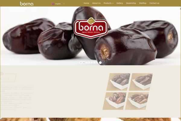 bornaco.com site used Behzad