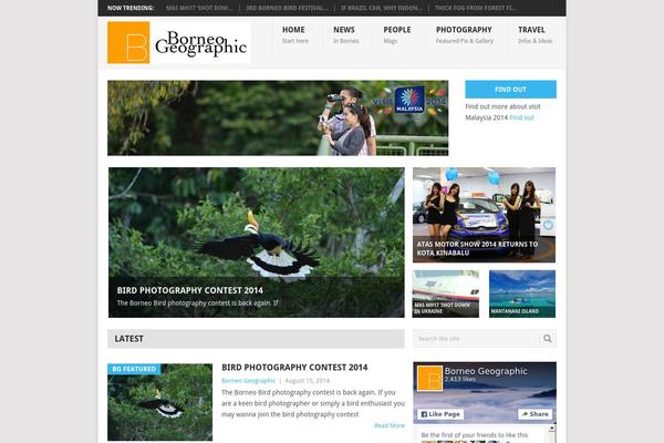 Point theme site design template sample