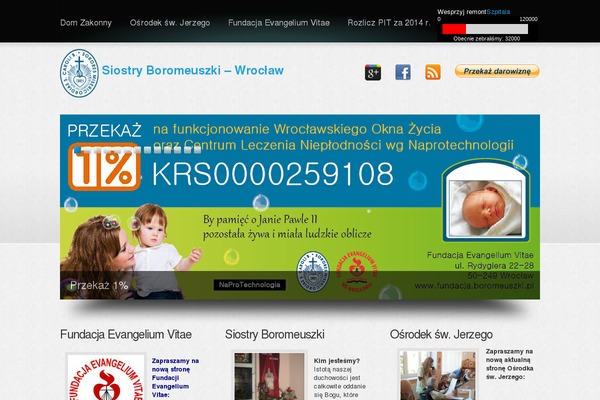 Boldy theme site design template sample