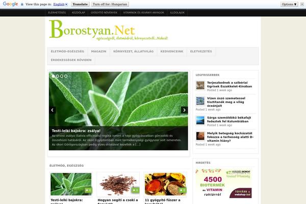 borostyan.net site used Project Ar2