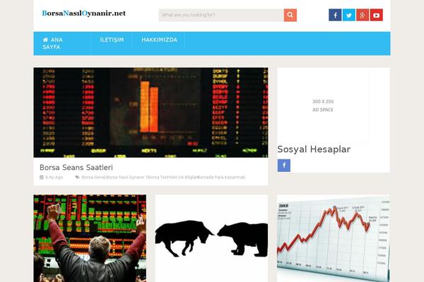 SociallyViral theme site design template sample