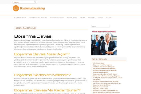 Professional theme site design template sample