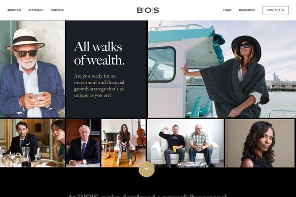 bosinvest.com site used Bosinvest