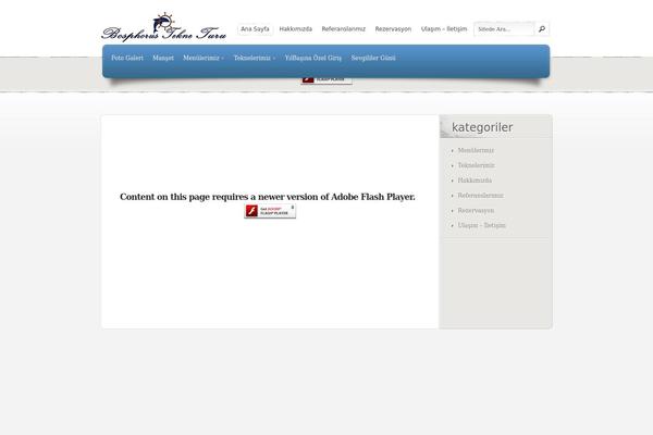 eStore theme site design template sample