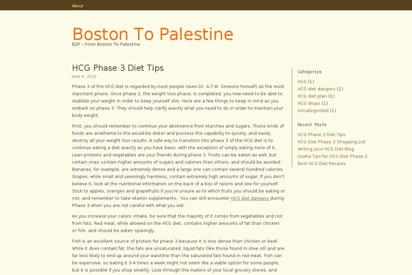 bostontopalestine.org site used San Fran