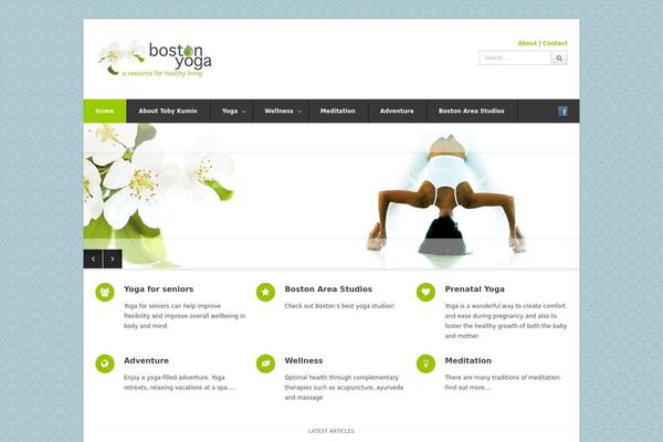 Wpex Pytheas theme site design template sample