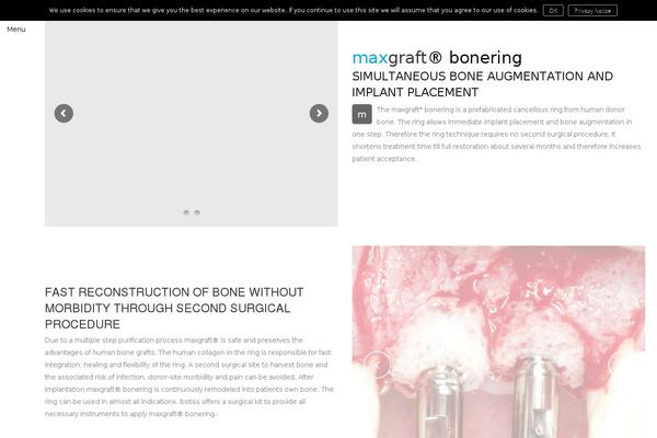 Bridge theme site design template sample