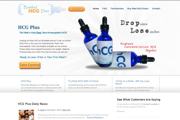 Biznizz theme site design template sample