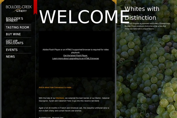 Pluto theme site design template sample