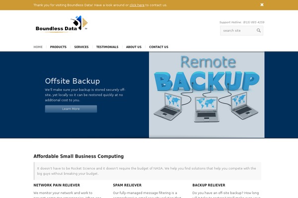 Choices theme site design template sample