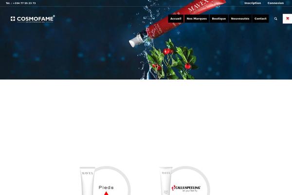 Winsiders theme site design template sample