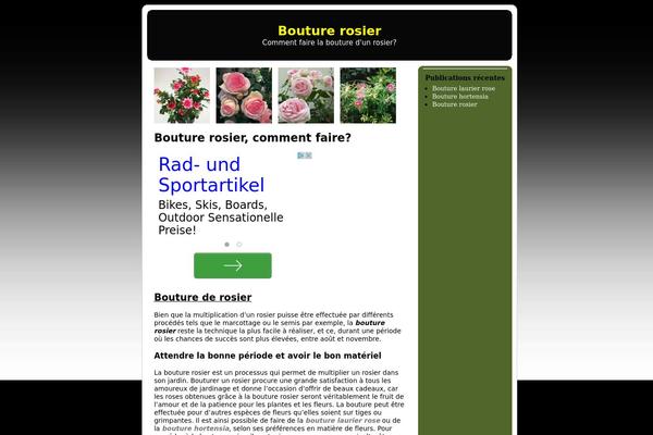 bouturerosier.com site used Clickbump_wp3