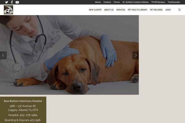 Site using Lifelearn-accessibility plugin