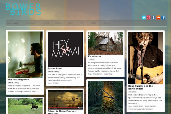 pinpress theme site design template sample