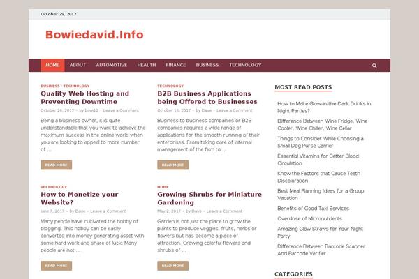 HitMag theme site design template sample