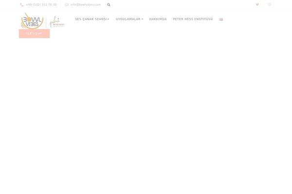 Ekko theme site design template sample