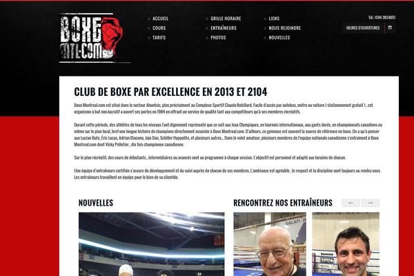 Gymguide theme site design template sample