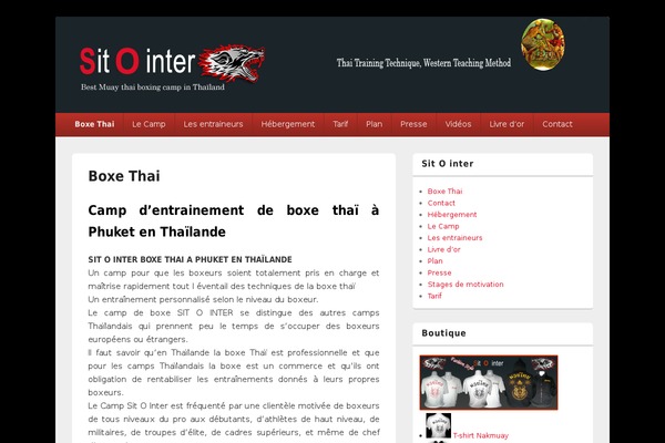 Catch Box theme site design template sample