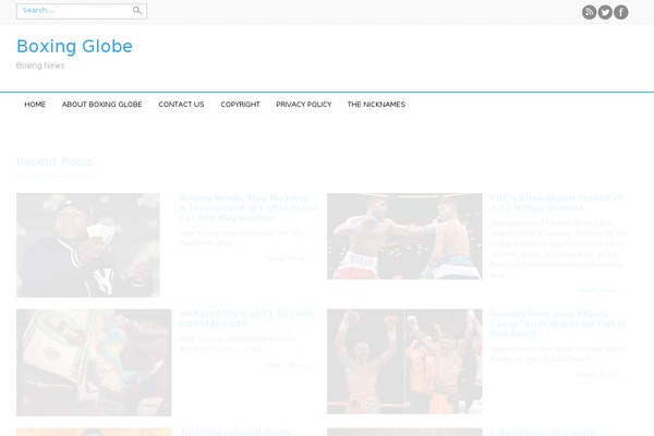 boxingglobe.com site used Professional-plus