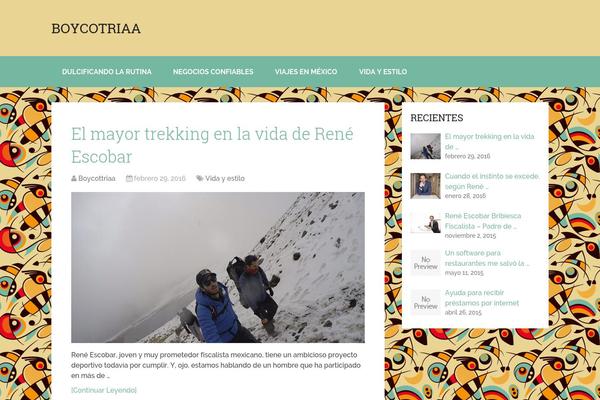 Schema theme site design template sample