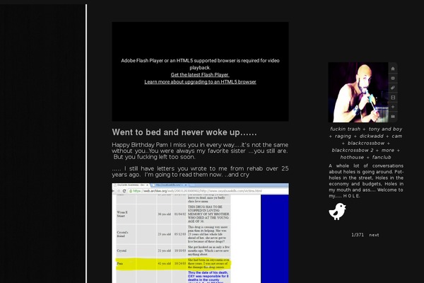 boyhous.com site used Shiny