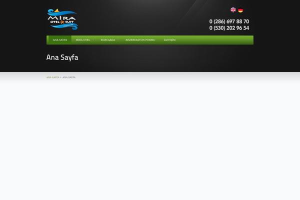 theDawn theme site design template sample
