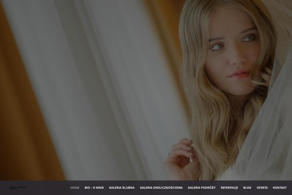 Gt3-wp-frame theme site design template sample