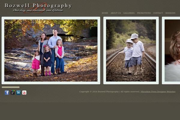 staranise theme websites examples