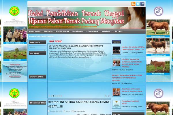Newsmojo theme site design template sample