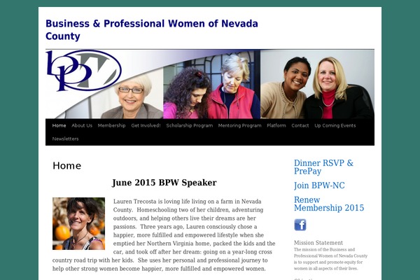 child2010 theme websites examples