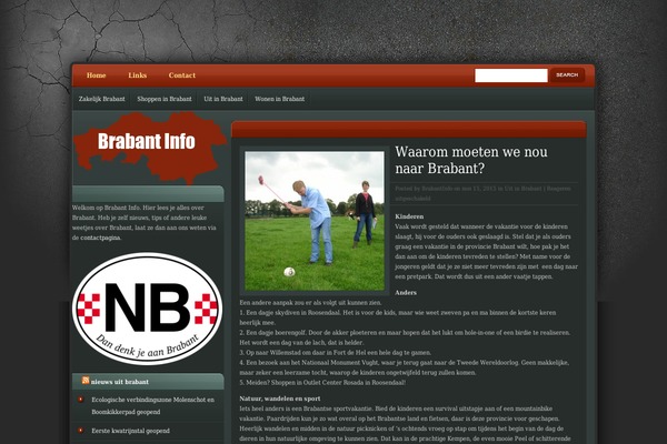 eGamer theme site design template sample