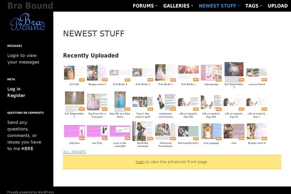 Site using Cartpauj PM plugin