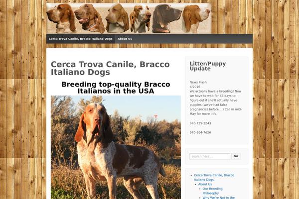 Responsive theme site design template sample