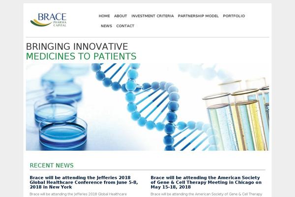 Bose theme site design template sample