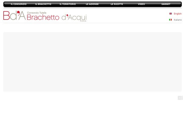 Cleanspace theme site design template sample