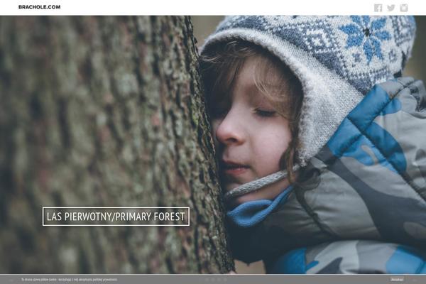 Portra theme site design template sample