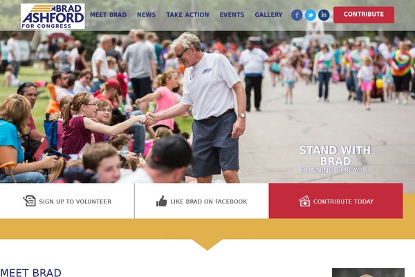 WP Opulus theme site design template sample